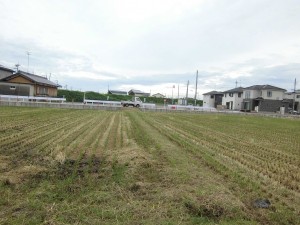 栗東市のお客様より、水田の畦の草刈りのご依頼をいただきました。