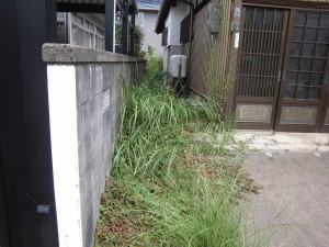 栗東市のお客様より、空家の草刈りのご依頼をいただきました。