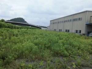 八尾市の事業者様より、栗東市にある工場跡地の草刈りのご依頼をいただきました。