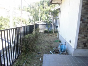 大津市のお客様より、家の周りの草刈りと庭木の剪定のご依頼をいただきました。
